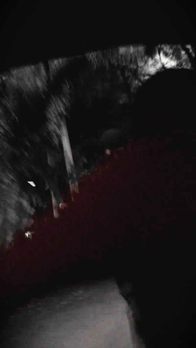 Equipe filmando evento